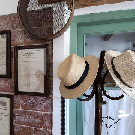 Il Glicine Bed and Breakfast San Dorligo della Valle Εξωτερικό φωτογραφία